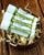 Lip Wick Lip Balm - Herbal Bliss